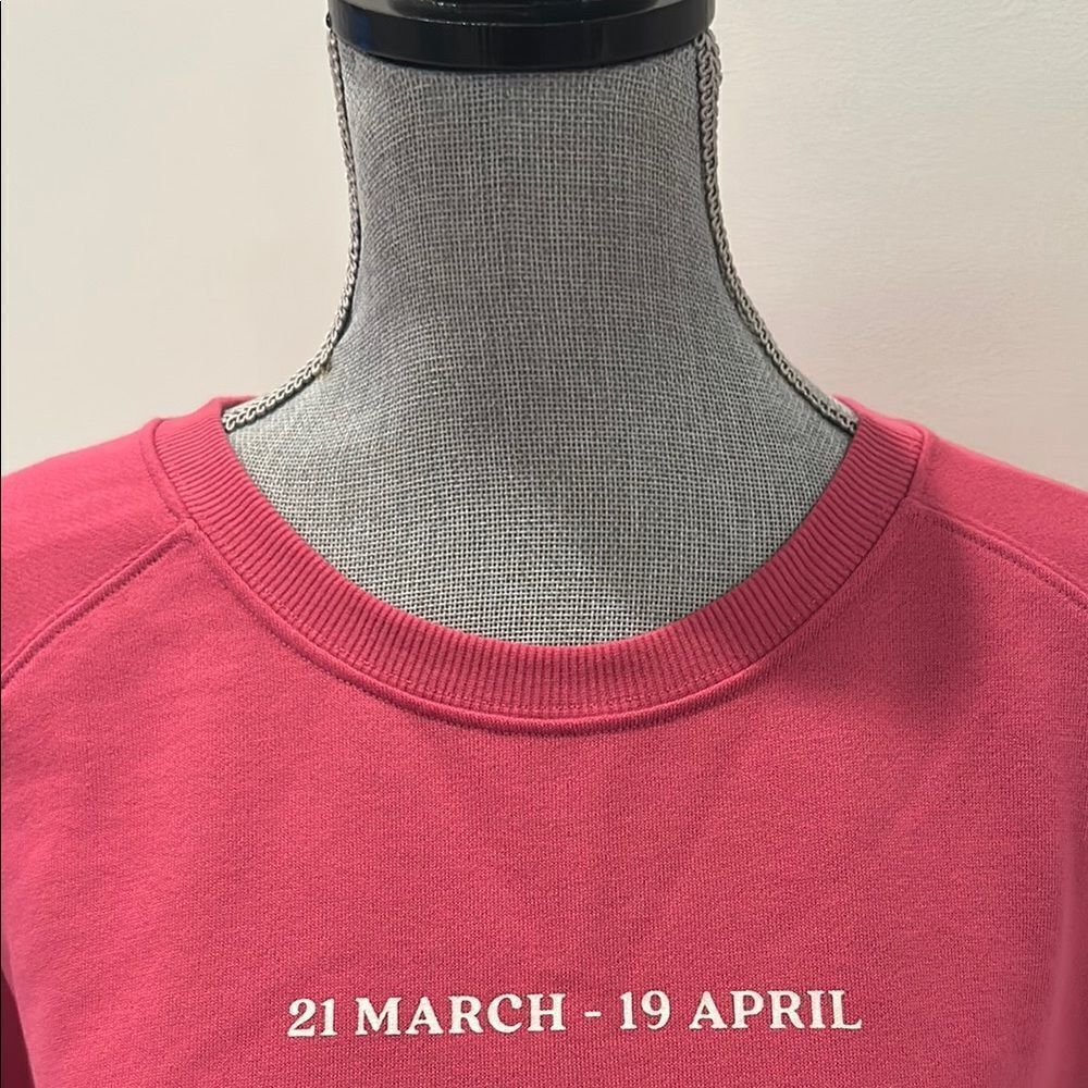 Anthropologie and Pink Aries Graphic Sweat Shirt - Picture 5 of 8